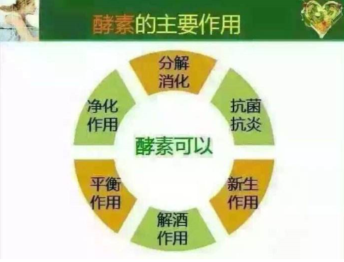 酵素减肥法安全吗