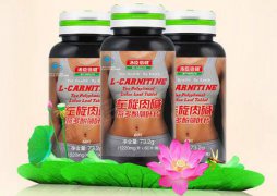 左旋肉碱,减肥药